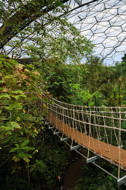 Cornwall: Eden Project Entry Ticket - Who Should Book This? Best Fit for Families, Plant People, and Rainy-Day Plans