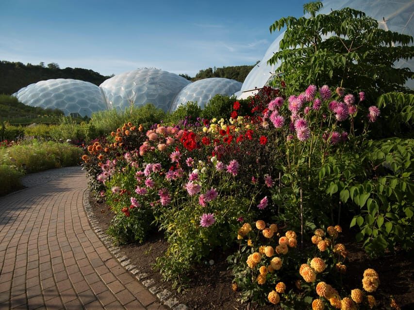 Cornwall: Eden Project Entry Ticket - Eden Project Entry Ticket: What You’re Actually Buying