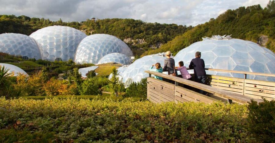 Cornwall: Eden Project Entry Ticket - Rainforest Dome: Humid Air, Giant Plants, and the Guide Moments