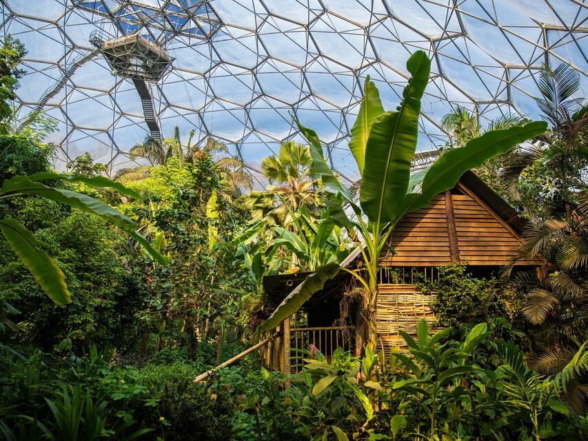 Cornwall: Eden Project Entry Ticket - Exhibitions, Art, and the Rotating Free Program