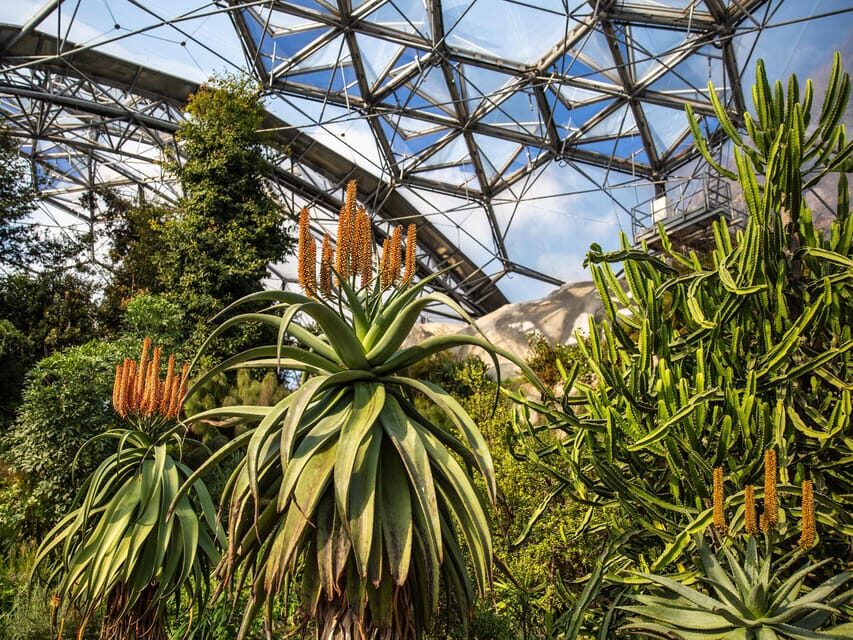 Cornwall: Eden Project Entry Ticket - Timing Your Visit: Why 4 Hours Is the Minimum