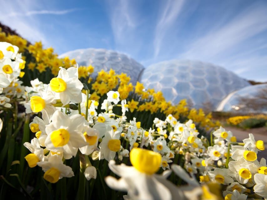 Cornwall: Eden Project Entry Ticket - Price and Value: Is a $51 Ticket Worth It?