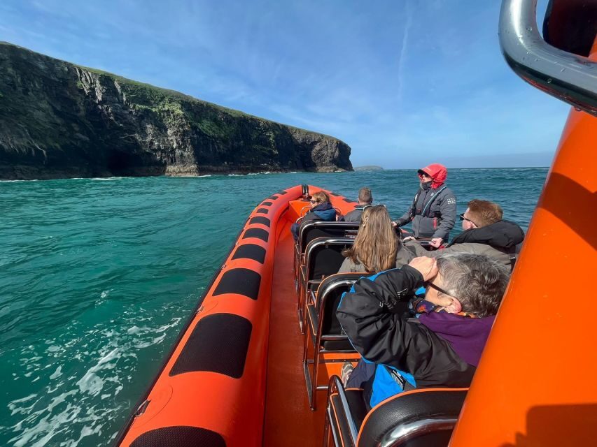 Cornwall: Guided Seal Safari by Boat - What the RIB ride really feels like: speed, spray, and a bit of bounce