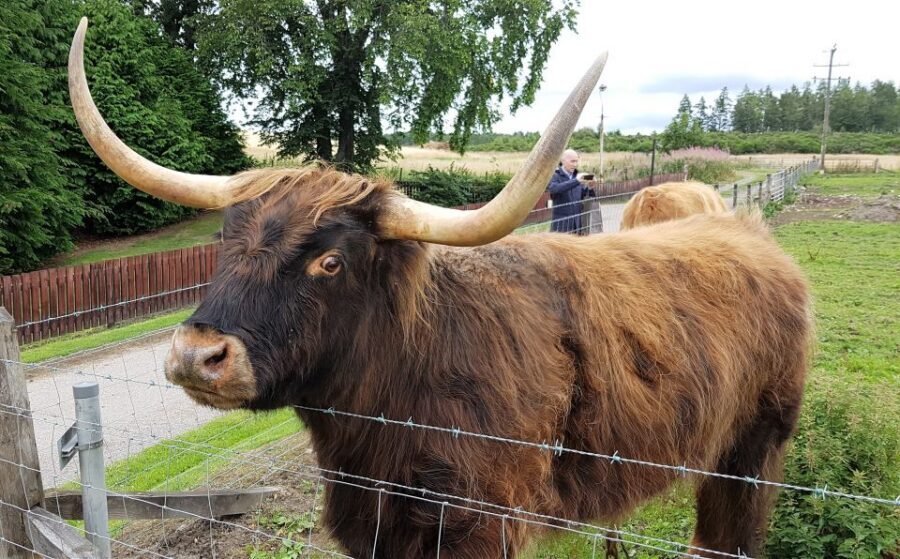 Craigs Luxury Speyside Private Whisky Tour - Tastings and Working Tours: What’s Included vs What Costs Extra