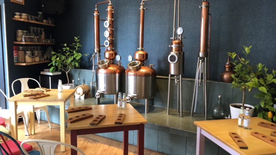 Distillery Masterclass - 8 Scottish gins paired with cheeses - 56 North Distillery: the setting that makes the tasting feel real