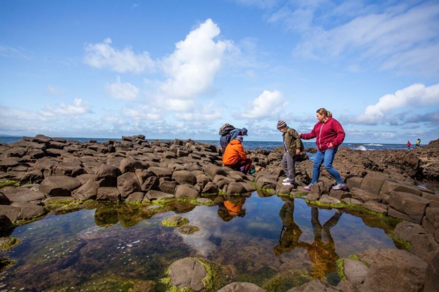 Dublin: Belfast (Titanic or Taxi), Dunluce & Causeway Trip - Dunluce Castle ruins: cliff views and just enough time