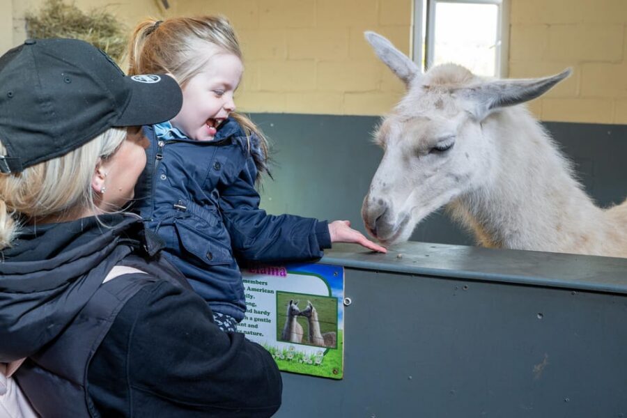 Durham: Adventure Valley Farm Park Entry Ticket - Key points at a glance