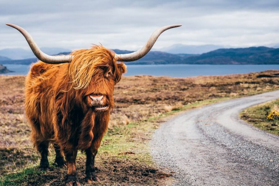 Edinburgh: 3-Day Isle of Skye, Highlands, and Loch Ness Tour - A small-group Highland route that keeps the day moving (without feeling chaotic)