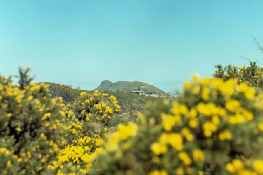 Edinburgh: Arthur's Seat Hike with Mountain Guide - What a mountain leader adds beyond directions