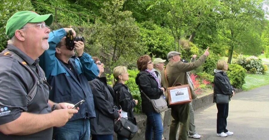 Edinburgh: City Highlights Private Guided Walking Tour - The Royal Mile and St Giles Cathedral exterior: where the city’s center comes alive