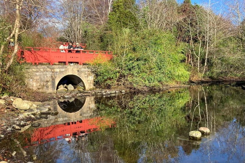 Edinburgh: Dean Village, Circus Lane & Botanic Garden Walk - 4 Miles on Foot: Pace, Shoes, and Energy Tips