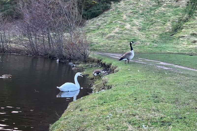 Edinburgh: Guided Hike to Arthur's Seat and Calton Hill - The guide really shapes the experience more than you’d think