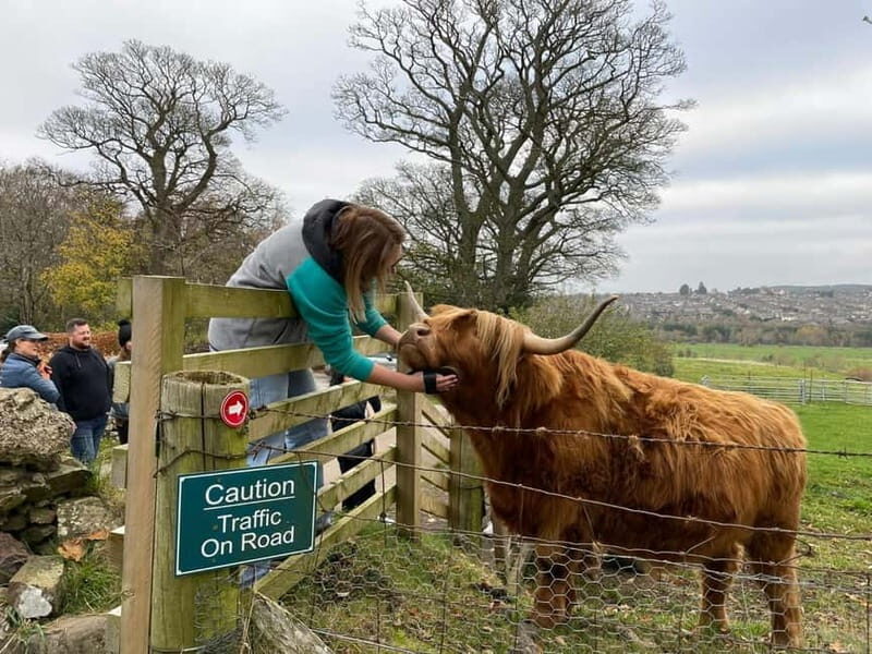 Edinburgh: Highland Cow, Blackness Castle, and Cake Tour - A Half-Day That Blends Animals, Stone, and Scottish Treats