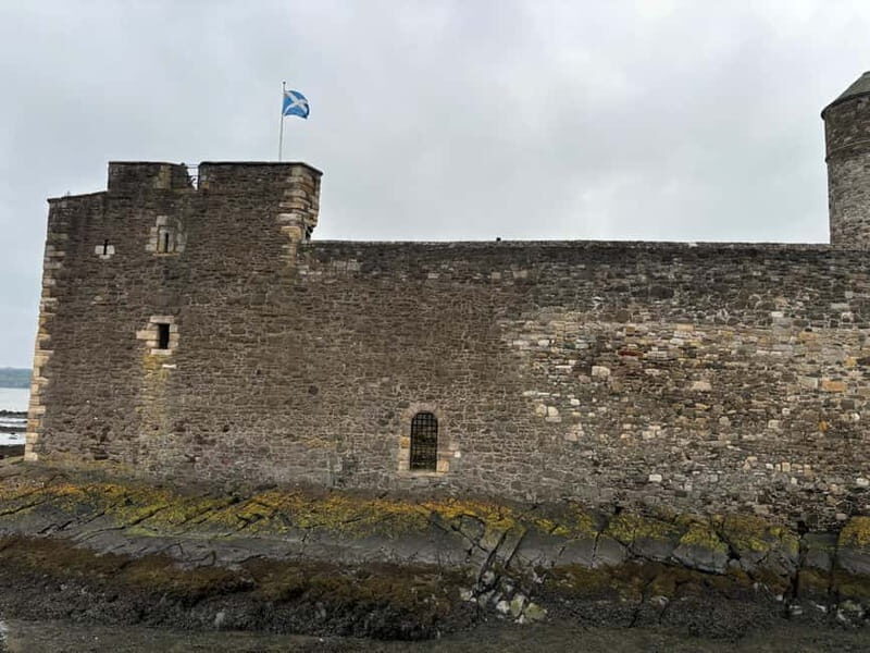 Edinburgh: Highland Cow, Blackness Castle, and Cake Tour - Wildlife Viewing Stop: A Short Pause for Real-World Scotland