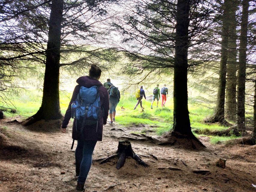 Edinburgh: Hill & Nature Hike With a Local - Wildlife spotting: what you might see and how to think about it