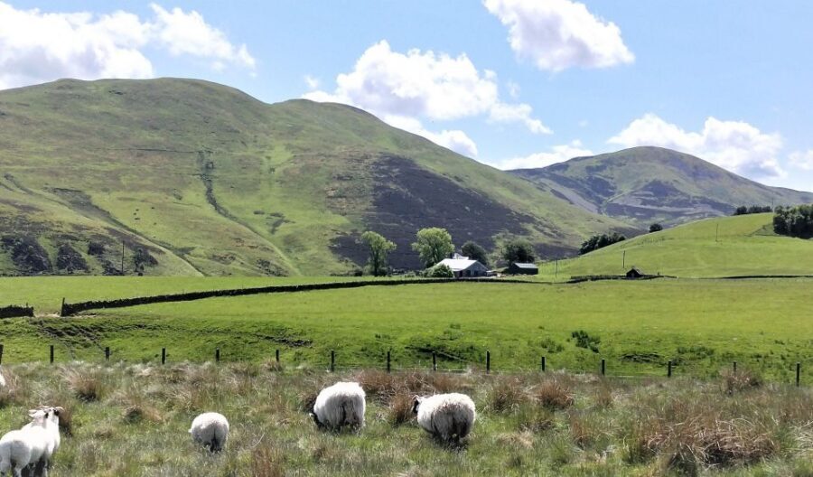 Edinburgh: Hill & Nature Hike With a Local - Price and value: does $116 make sense for this Edinburgh hike?
