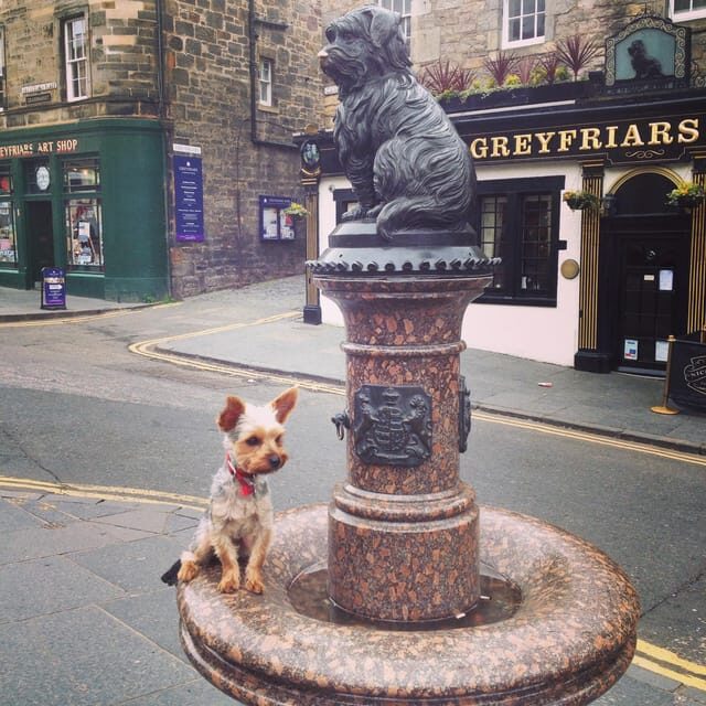 Edinburgh: History Lovers Old Town Walking Tour - Price and value: what $24 buys you in 2 hours