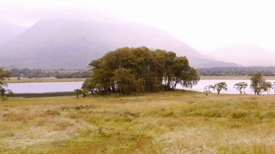 Edinburgh: Oban, Kilchurn Castle & Inveraray Tour in Spanish - Oban lunch: Seafood Capital energy with real choices