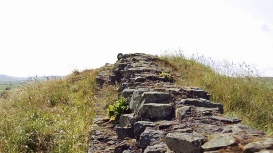 Edinburgh: Rosslyn Chapel and Hadrian's Wall Tour in Spanish - Transport, timing, and what to plan for during the day
