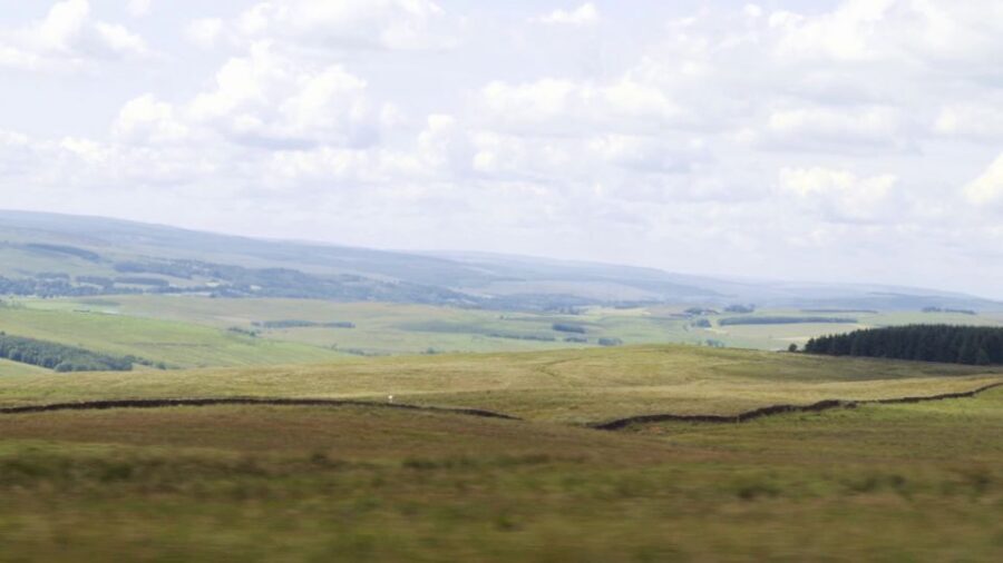 Edinburgh: Rosslyn Chapel and Hadrian's Wall Tour in Spanish - Price and value: is $70.04 per person a fair deal?