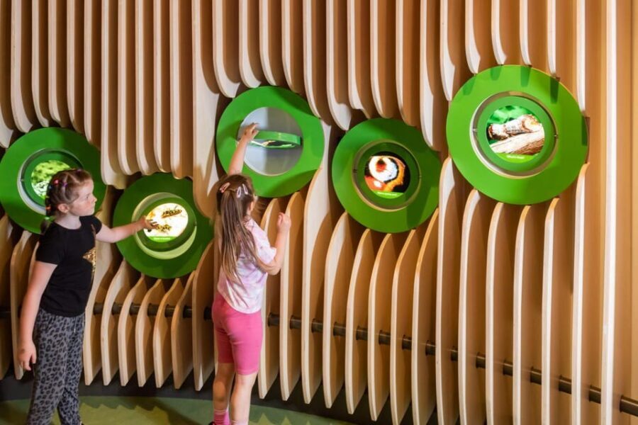 Eureka! Science + Discovery Centre Day Ticket - Value and cost: is $21 a good deal?