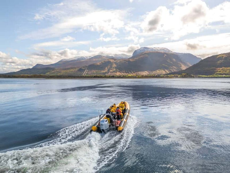 Fort William: 1hr Loch Safari Speedboat Tour - Key Highlights You’ll Actually Feel
