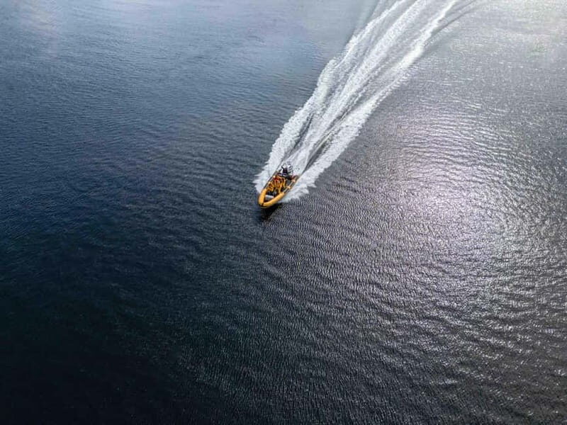 Fort William: 1hr Loch Safari Speedboat Tour - The Captain’s Live Guide Style: Facts You Can Hear