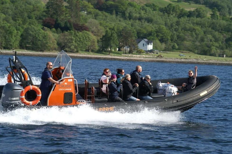 Fort William: Speed Boat Adventure - Wildlife spotting on a moving RIB: what you can hope for