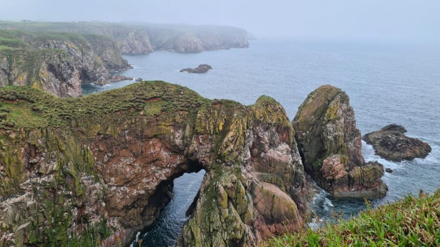 From Aberdeen: Coastal Villages of Aberdeenshire Tour - Key things to love before you go