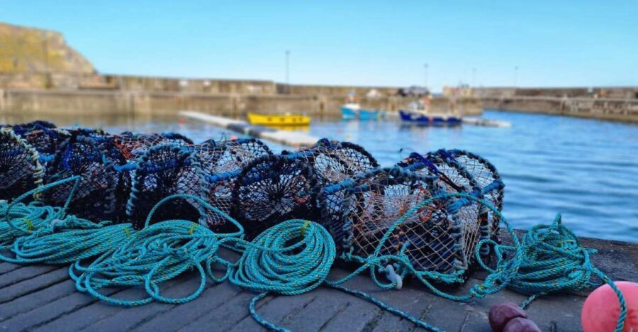 From Aberdeen: Coastal Villages of Aberdeenshire Tour - Gardenstown and Crovie: the Moray Firth coastal path walk