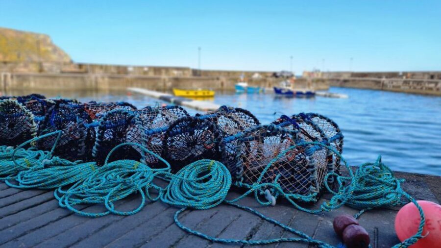 From Aberdeen: Coastal Villages of Aberdeenshire Tour - Pennan: Local Hero vibes in a still fishing village