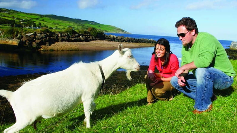 From Belfast: Giant's Causeway, Dunluce Castle & Dark Hedges - What about food? Plan snacks and save your lunch choices