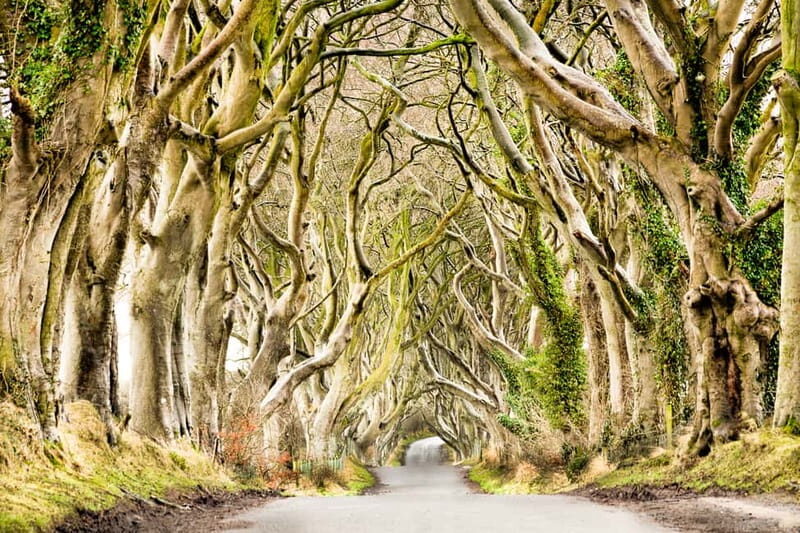 From Belfast: Giant's Causeway & Titanic Experience Belfast - Should you book this Belfast to Giant’s Causeway and GOT locations tour?
