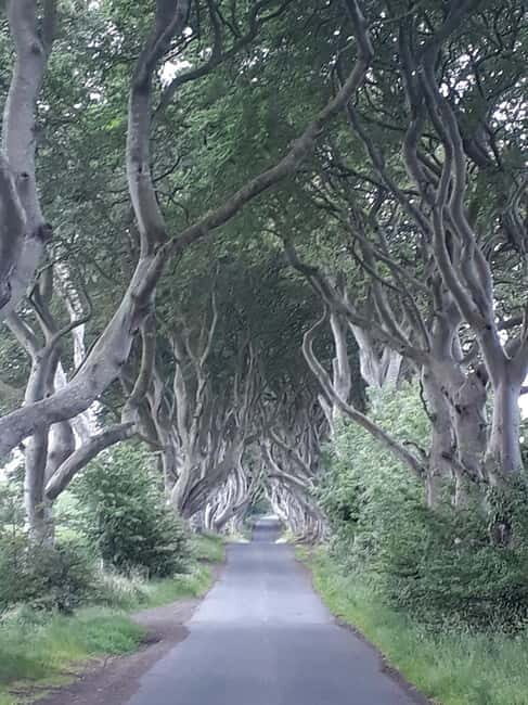 From Belfast: The Giant's Causeway & Game of Thrones Tour - Belfast Pickup and the Calm Start You Want