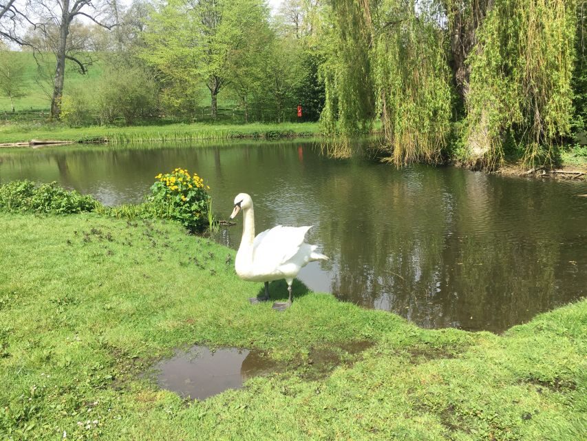 From Brighton: Leeds Castle & Canterbury Full-Day Trip - Transportation and timing from Brighton: smooth coach, long but manageable day