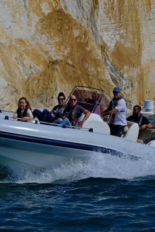 From Brighton: Private Boat Charter - Wildlife You Can Actually Hope For (Not Just Read About)