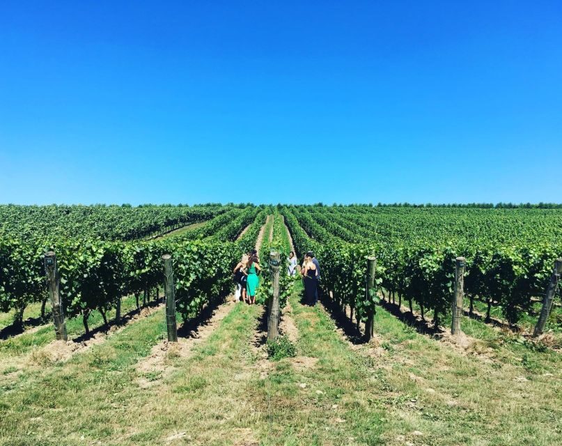 From Brighton: Sussex Wine Tour on a Vintage Bus with Lunch - Price ($197) and value: what you’re really paying for