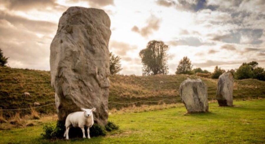 From Bristol: Stonehenge and Cotswold Villages Day Tour - Transport comfort, luggage limits, and why small details matter
