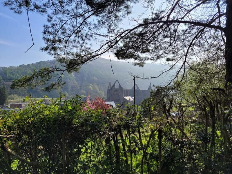 From Cardiff: Guided Tour of Welsh Valleys - Key highlights you’ll notice right away