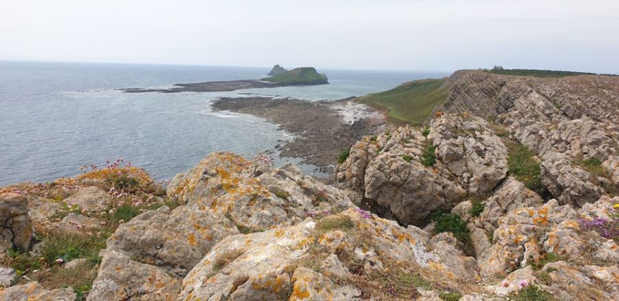 From Cardiff: Mumbles and Gower Peninsular Tour - Who This Tour Fits Best (and Who Might Want Something Else)