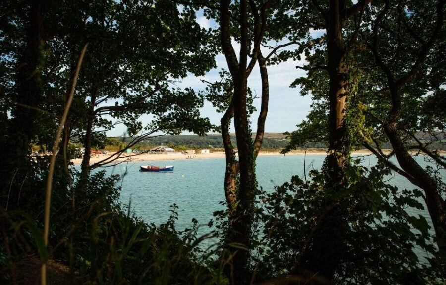 From Cardiff: Mumbles, Three Cliffs, Worms Head Gower Tour - Who this Gower tour is best for