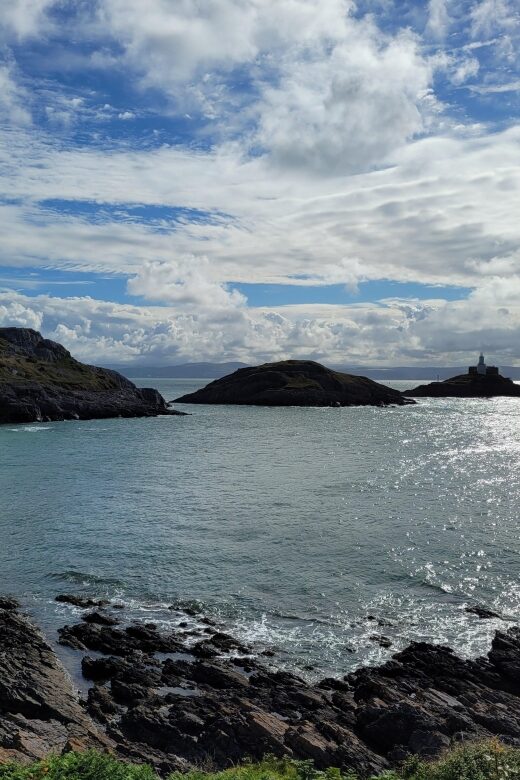 From Cardiff: The Wandering Bard's Swansea Bay Day Tour - Meeting Gareth in Cardiff and why the drive matters