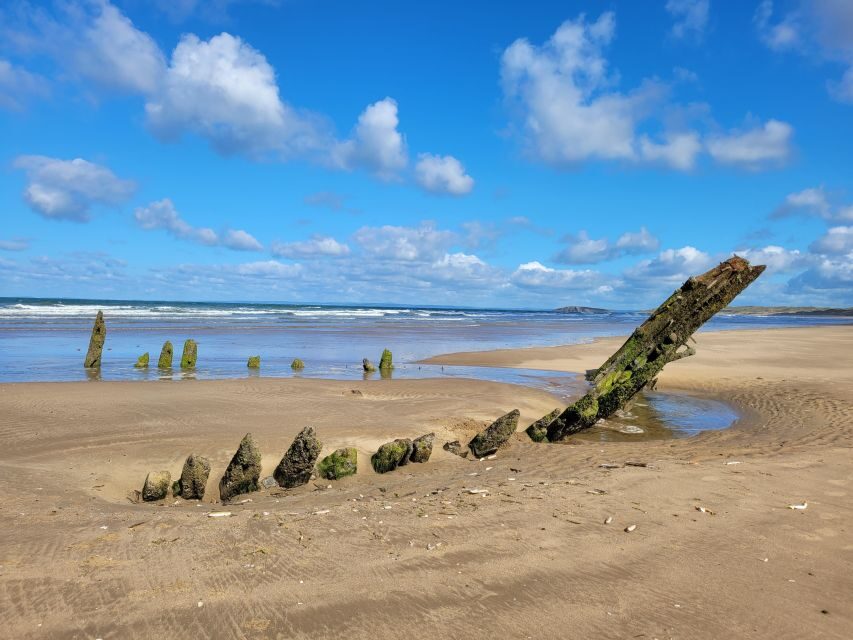 From Cardiff: The Wandering Bard's Swansea Bay Day Tour - Timing, comfort, and what to pack for this 8-hour push