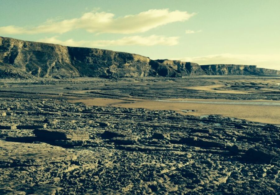 From Cardiff: Tour of Cardiff Bay and Vale of Glamorgan - Roman roots to coal power: how the tour tells Cardiff’s story
