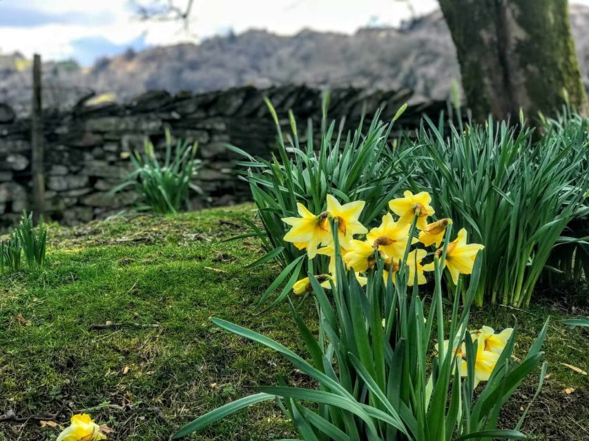 From Chester: Lake District Full-Day Guided Sightseeing Tour - Why a Chester-to-Lake District Day Feels Easier Than DIY