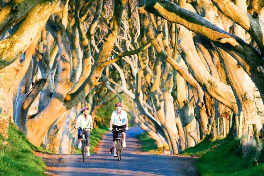 From Dublin: Giant's Causeway & Belfast Titanic with Ticket - Dark Hedges in 15–20 Minutes: Short Stop, Big Photo Payoff