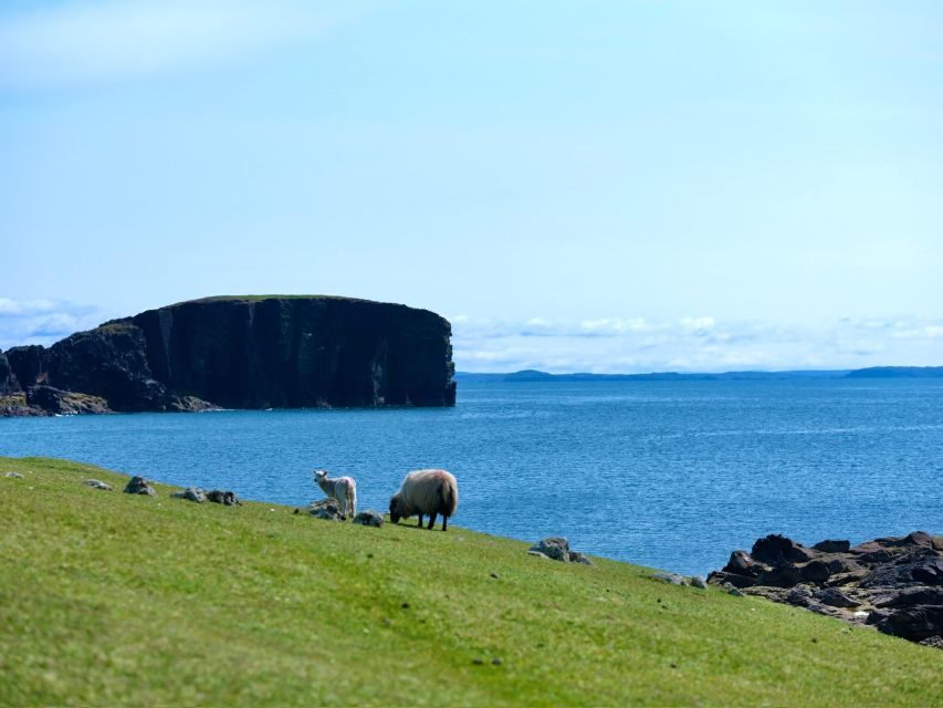 From Edinburgh: 6-Day Shetland & Nothernmost Explorer - Key highlights worth planning around