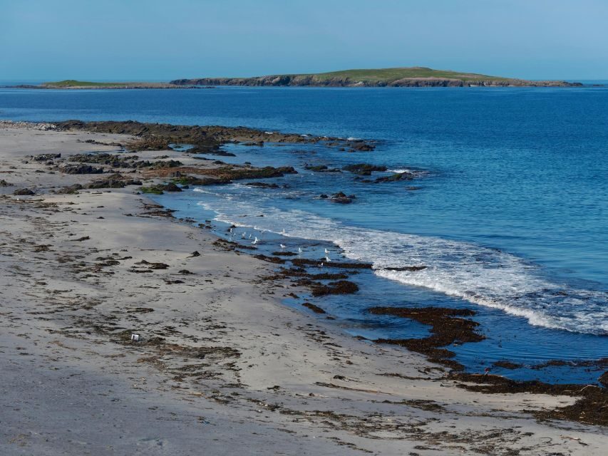 From Edinburgh: 6-Day Shetland & Nothernmost Explorer - The guide experience: Hugh’s calm pacing and weather flexibility