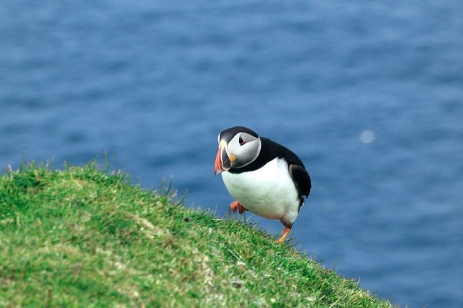 From Edinburgh: 6-Day Shetland & Nothernmost Explorer - Day 3: St Ninian’s Ayre shell sand and Eshaness cliffs