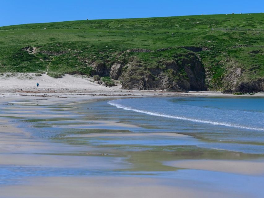 From Edinburgh: 6-Day Shetland & Nothernmost Explorer - Day 5: Shetland ponies at Minn Beach and Kettla Ness wildlife